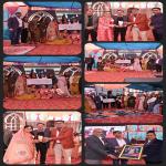 FDT-CITS Winning Team